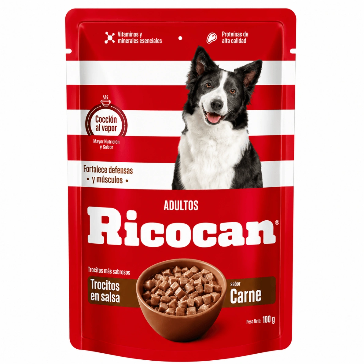 Ricocan Adulto Salsa de Carne Pouch 100 g