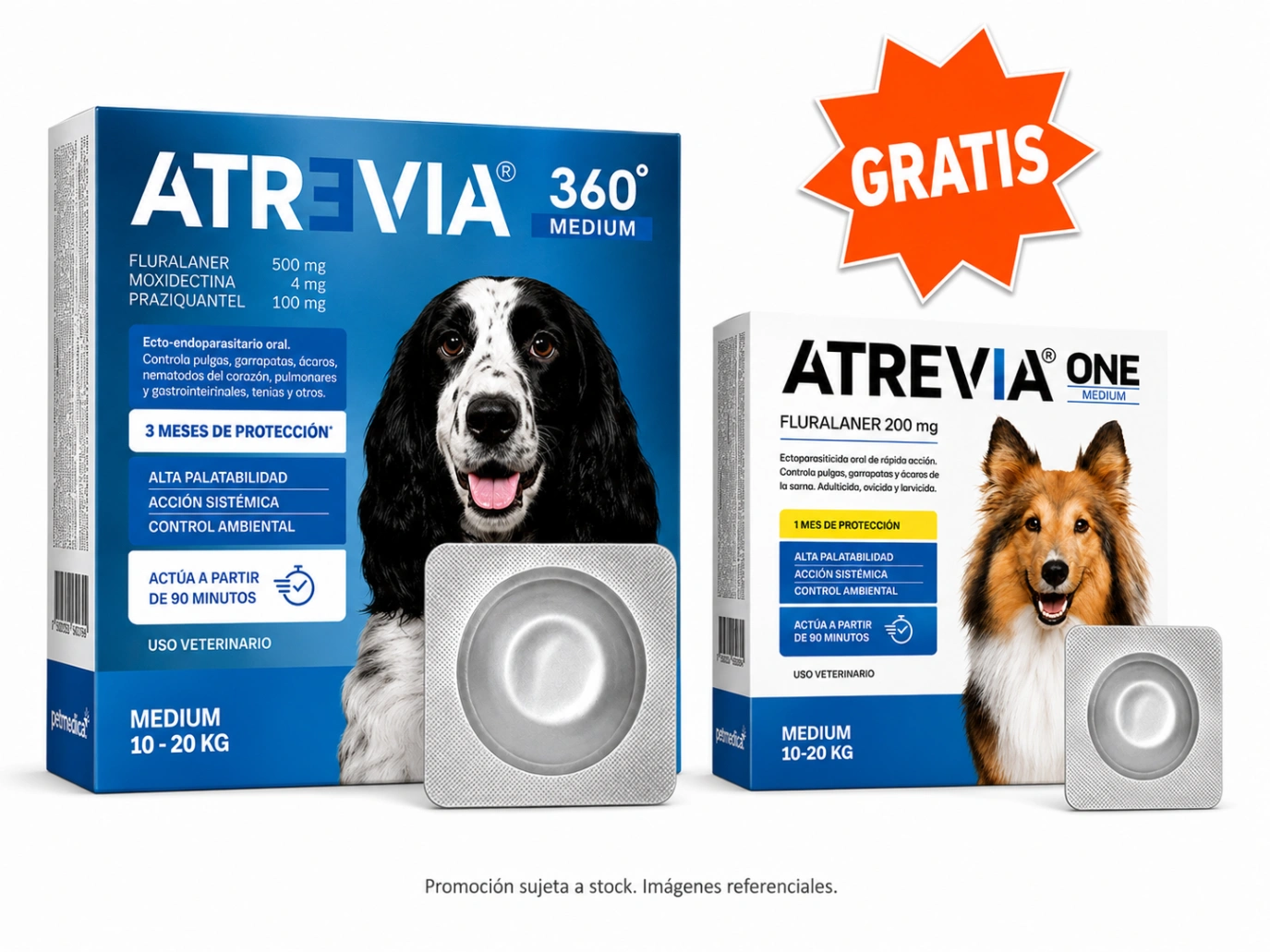 Atrevia 360 Medium Dog 10 a 20 kg x 1 Tableta