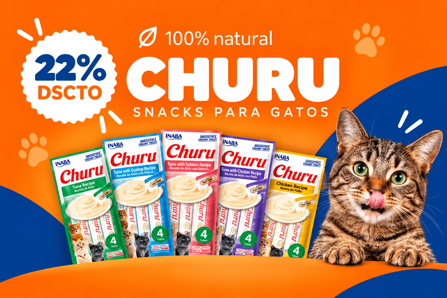Churu