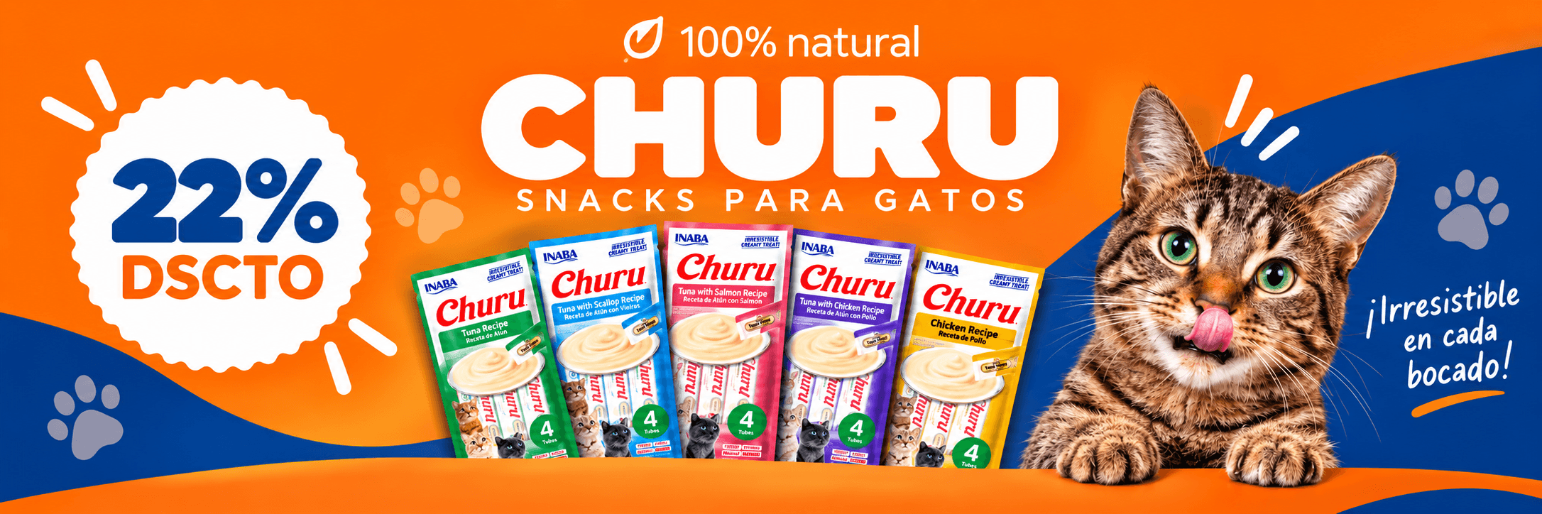 Churu